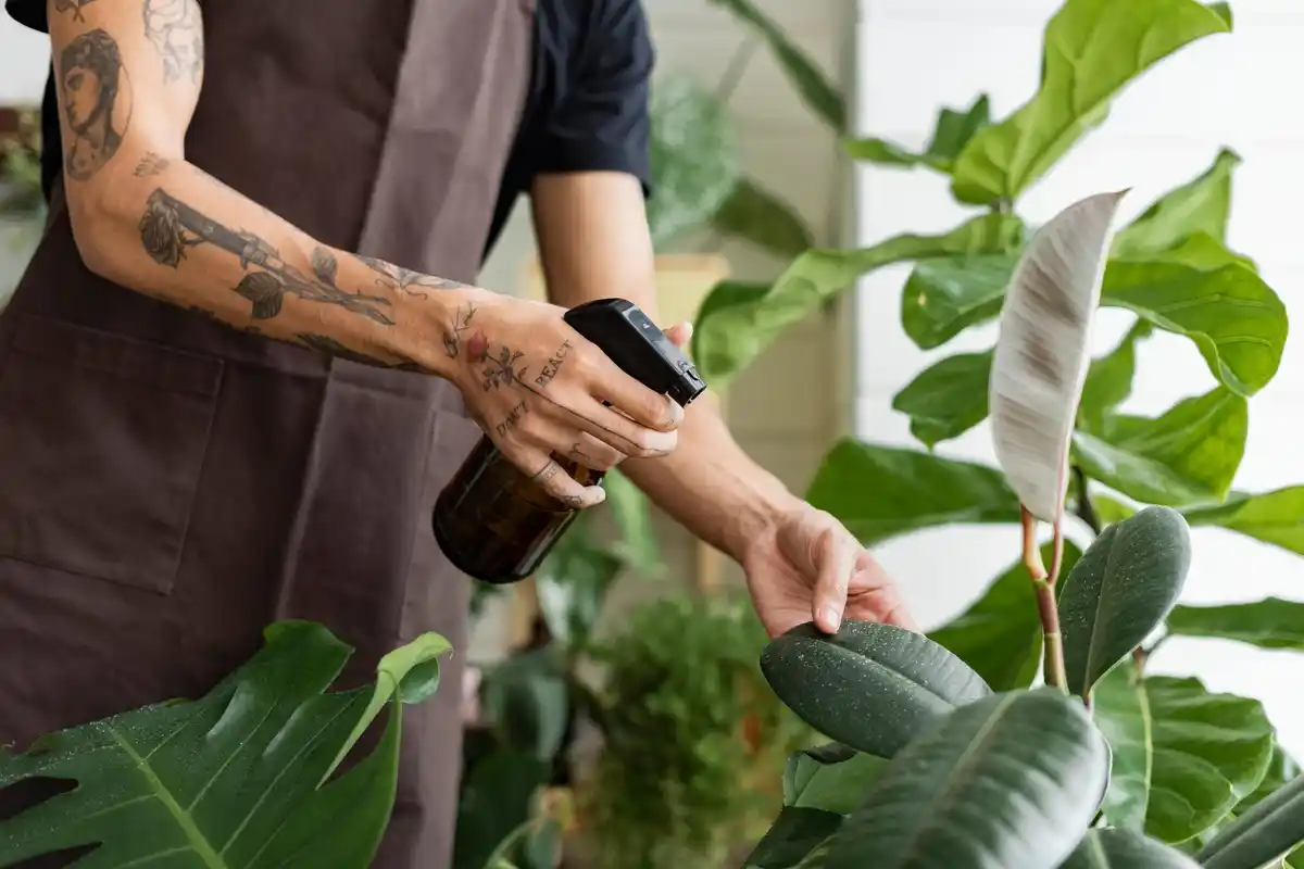 pouring coffee grounds around garden aphids plants