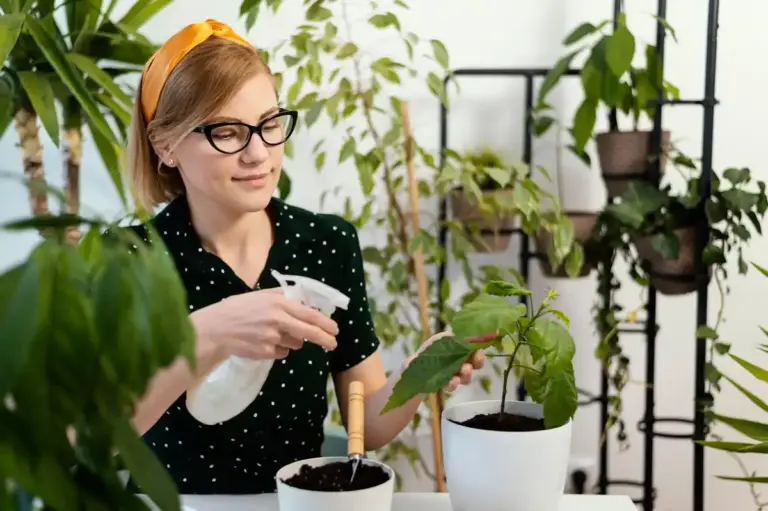 watering houseplants czech home mistake