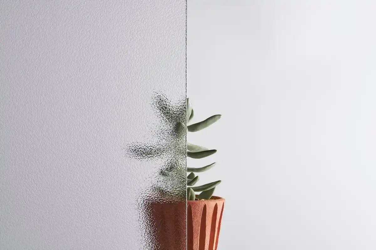 overwatered houseplant czech window