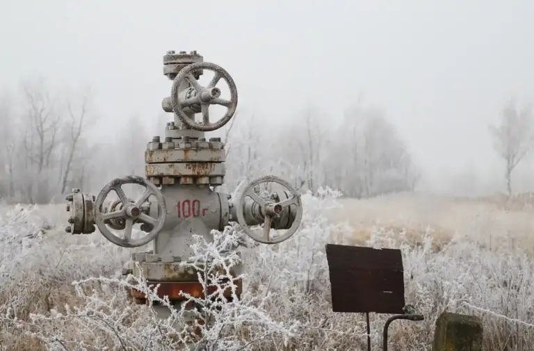 old rusty lawn mower snow Czech garden