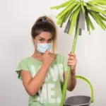 overfertilized plant indoor comparison healthy unhealthy