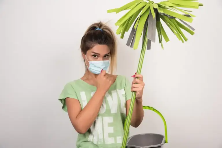 overfertilized plant indoor comparison healthy unhealthy