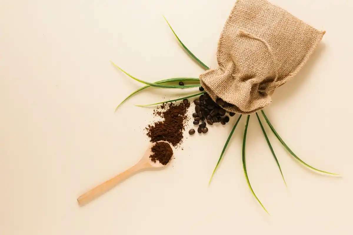 coffee grounds in garden use