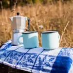 coffee grounds on grass lawn gardening czech republic