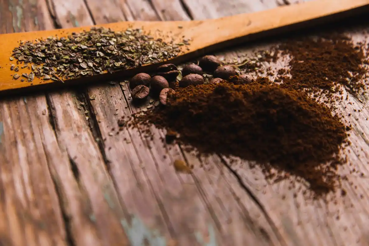coffee grounds lawn closeup eco gardening