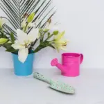 spathiphyllum air purifying plant bright Czech interior