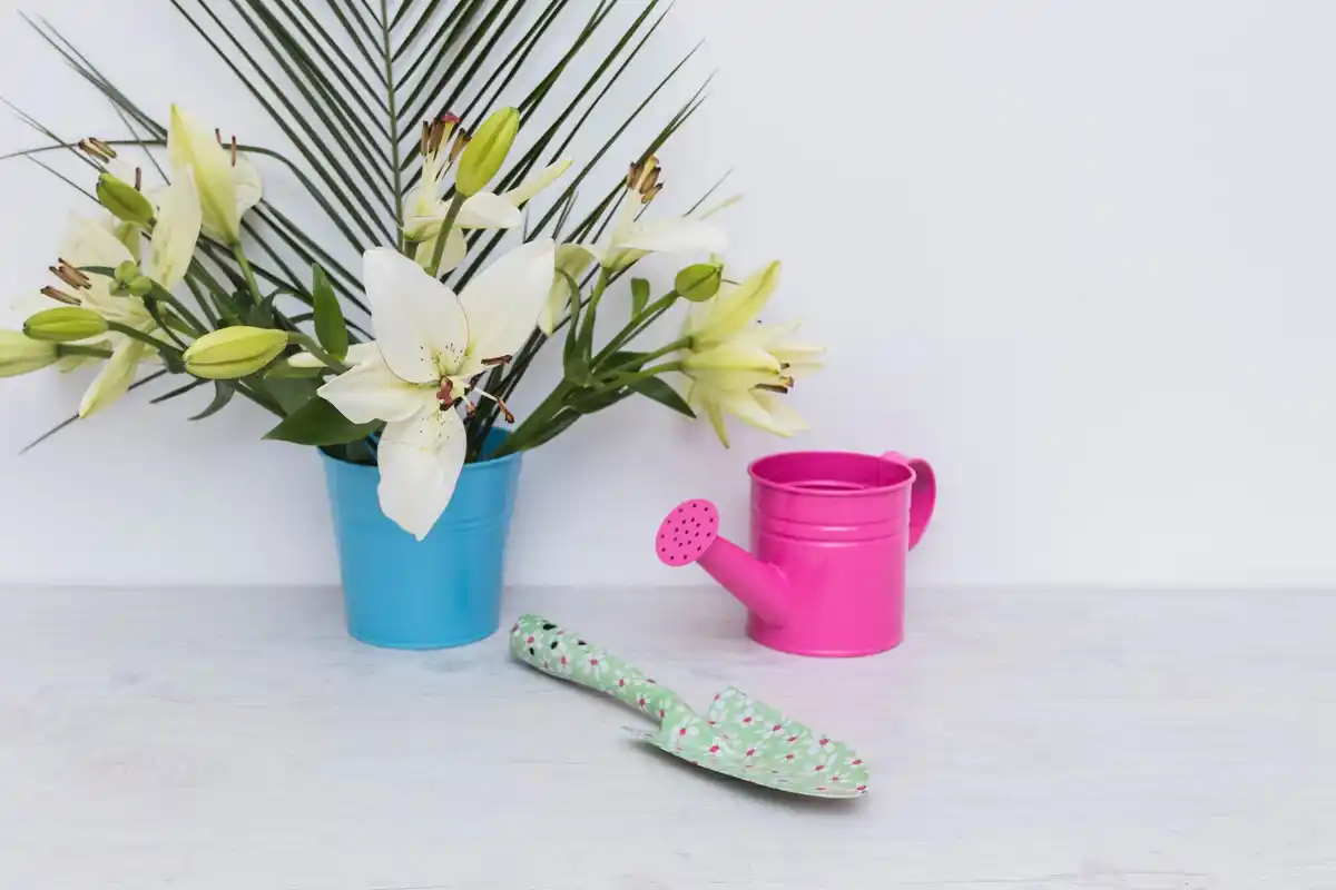 spathiphyllum air purifying plant bright Czech interior
