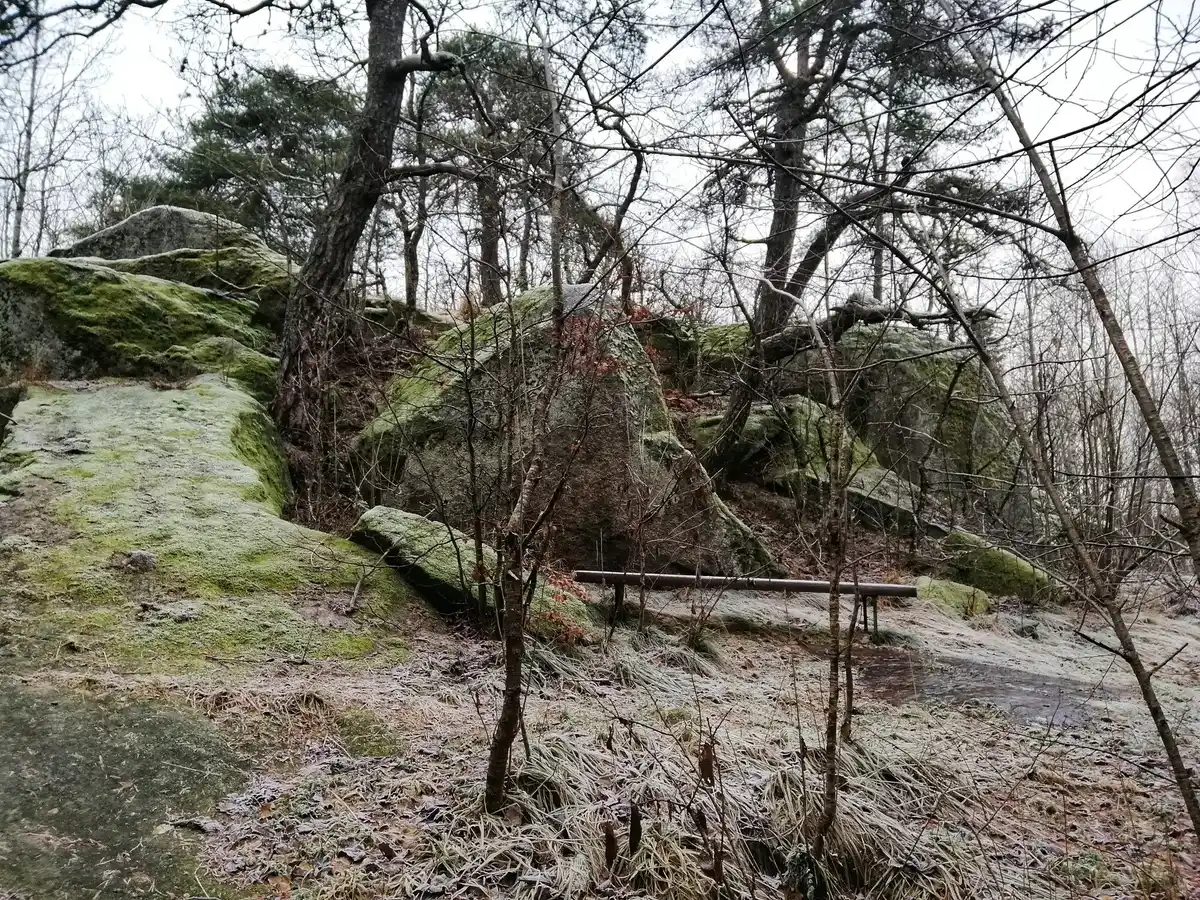 winter neglected garden soil Czech countryside