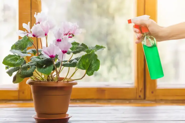 natural root-based pest spray garden
