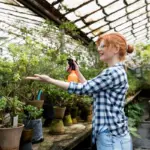 greenhouse temperature mistake czech garden