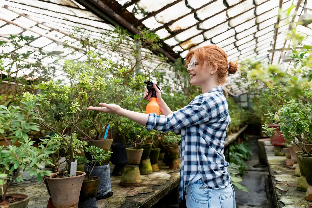 greenhouse temperature mistake czech garden
