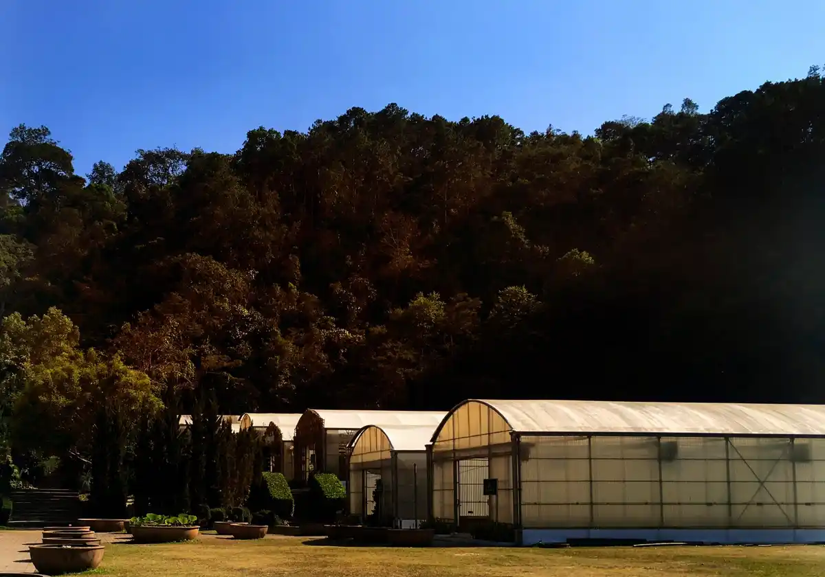 greenhouse evening temperature czech garden