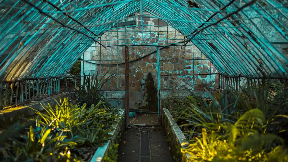 greenhouse night protection cold CZ