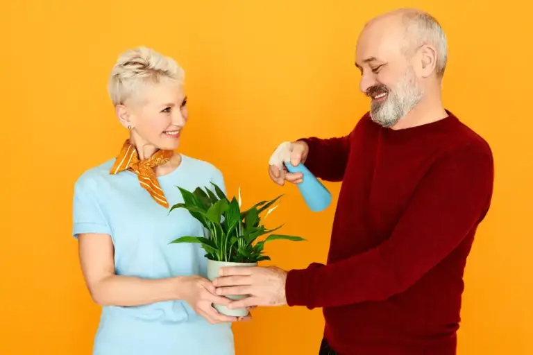 aloe vera plant in hands of elderly czech person