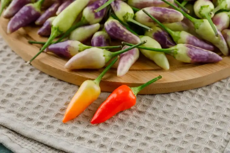 balcony pepper plants Czechia high yield