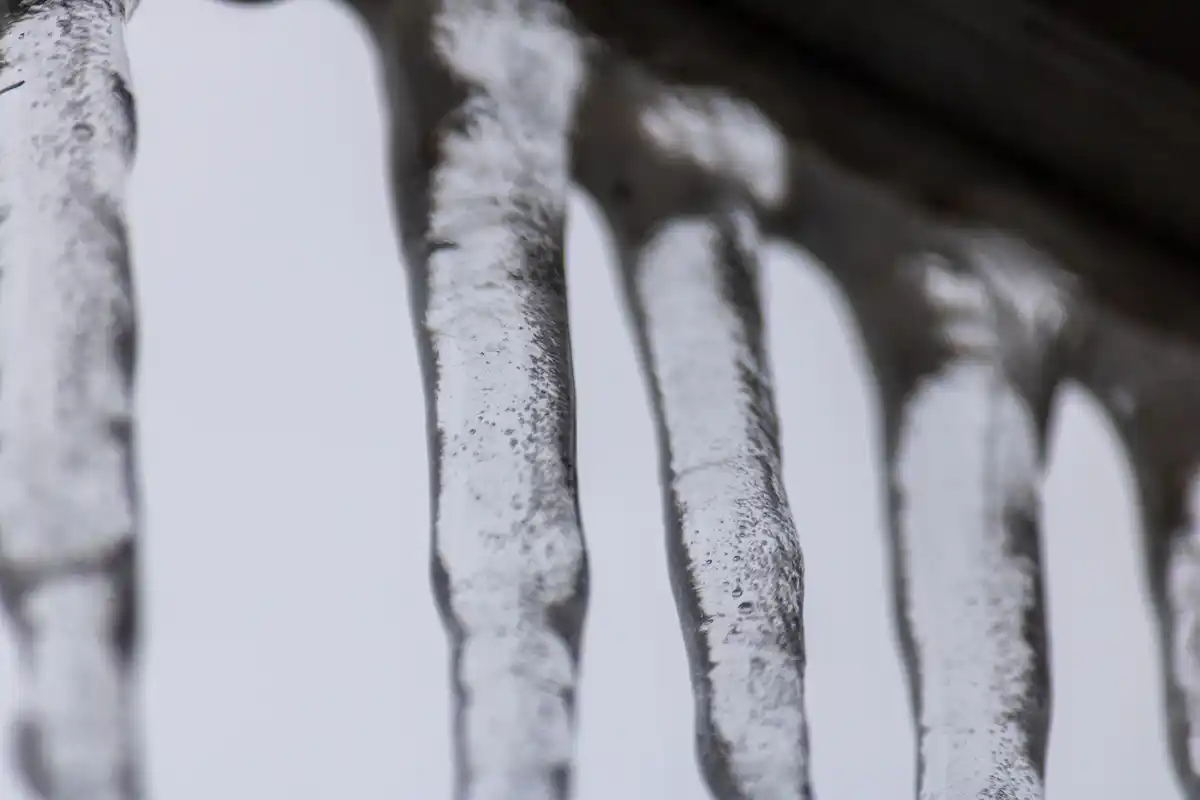 mold growing on greenhouse windows
