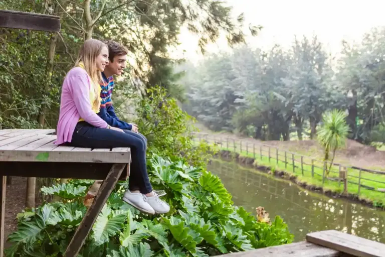 feng shui garden happy family czech backyard