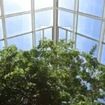 greenhouse ventilation mistake disaster