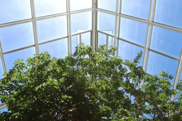 greenhouse ventilation mistake disaster