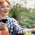 check soil pH naturally Czech garden
