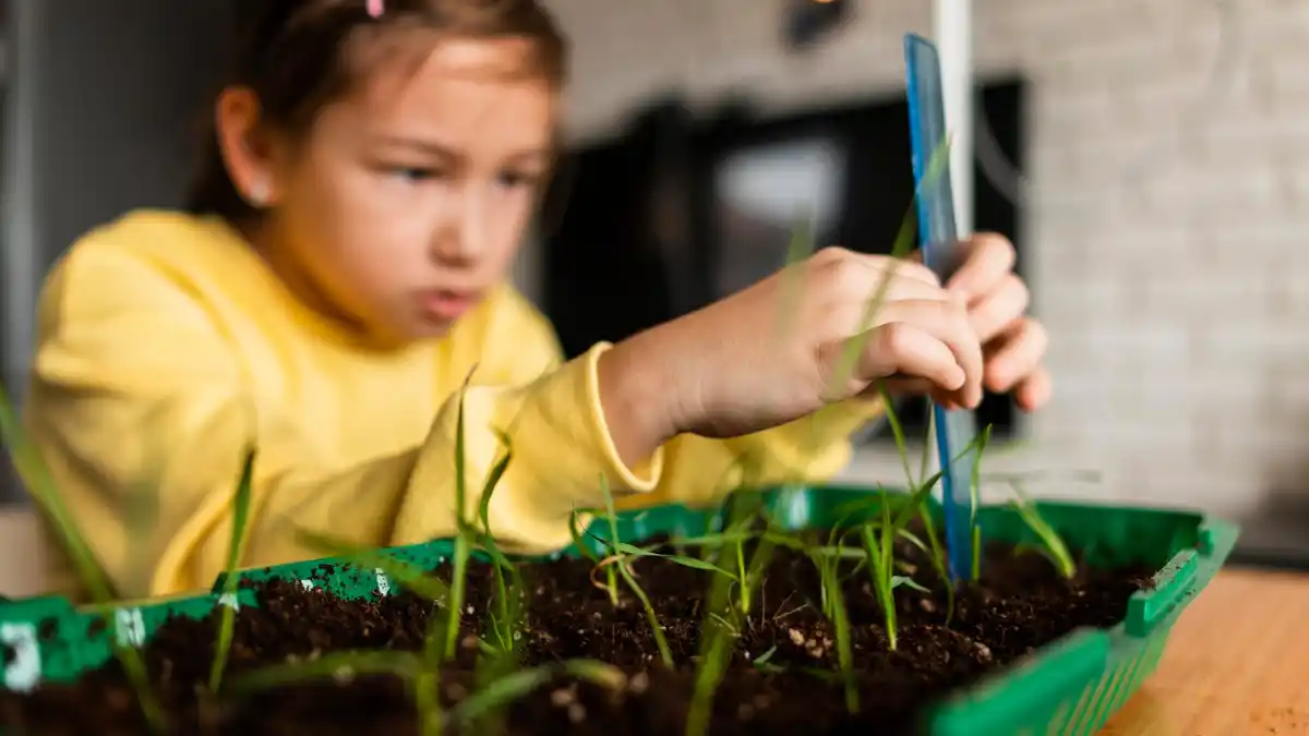 testing soil pH naturally in garden