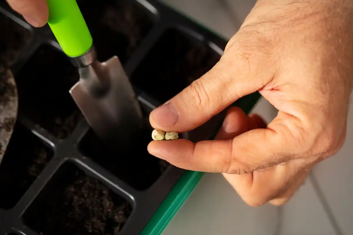 czech garden soil hands pH test