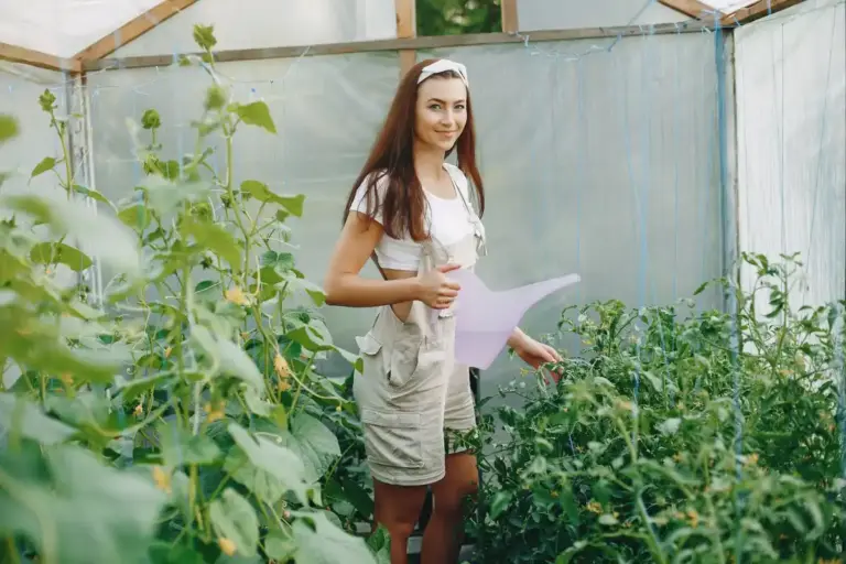 agrotextile greenhouse Czech backyard garden
