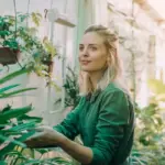 old window greenhouse diy czech seniors garden