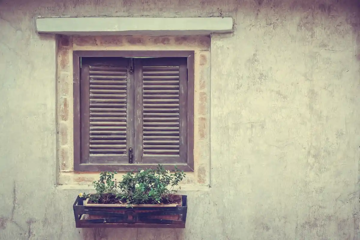 old window greenhouse in czech backyard with tomatoes