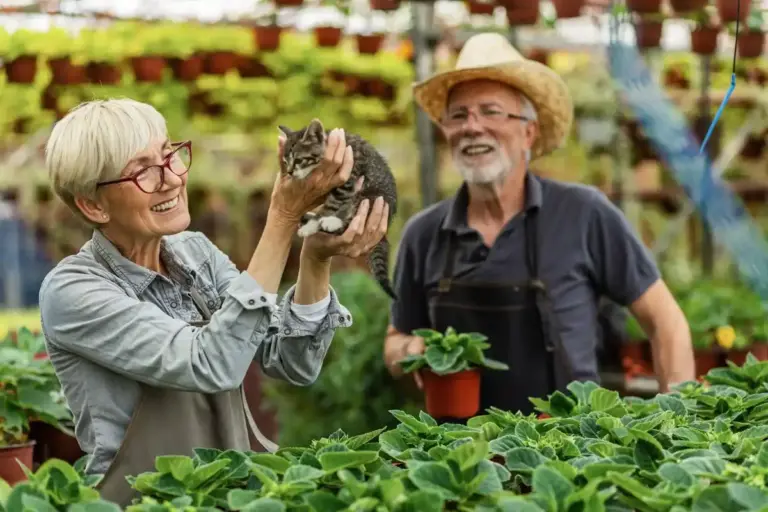 grandmother cucumber garden
