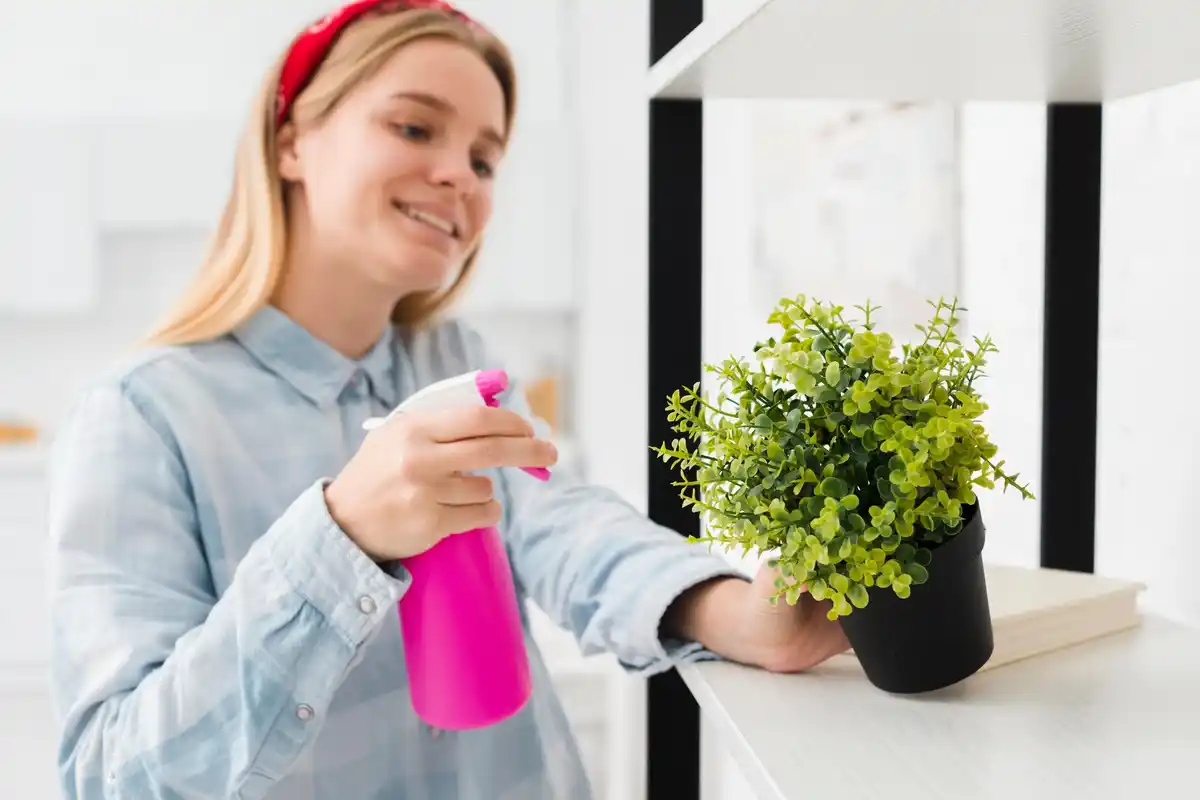 homemade insecticidal soap spray plants