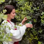 pollinator friendly garden Czech Republic