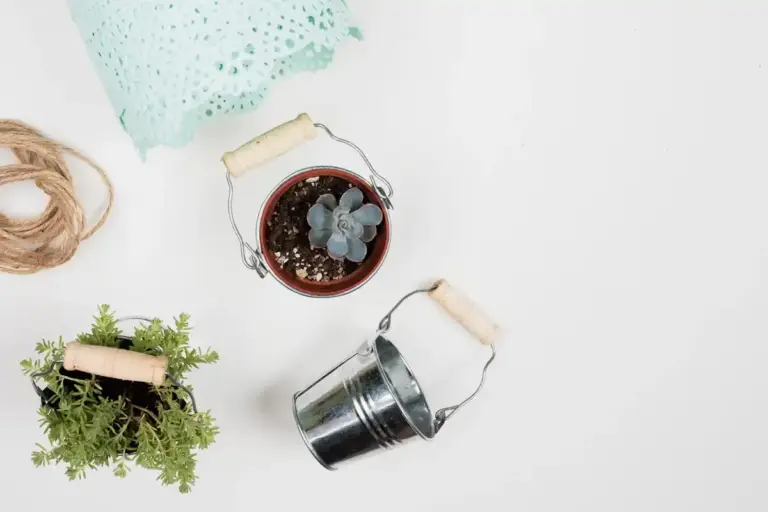used tea bags for plant care indoor flowerpot