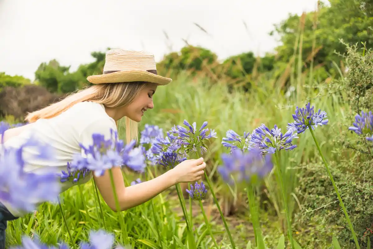 children picking wildflowers in Czech countryside