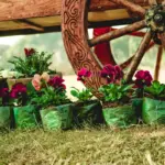 old flower pots upcycling Czech garden