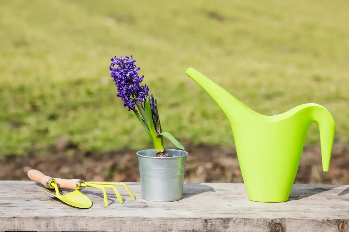 DIY garden flower pots upcycling Czech garden