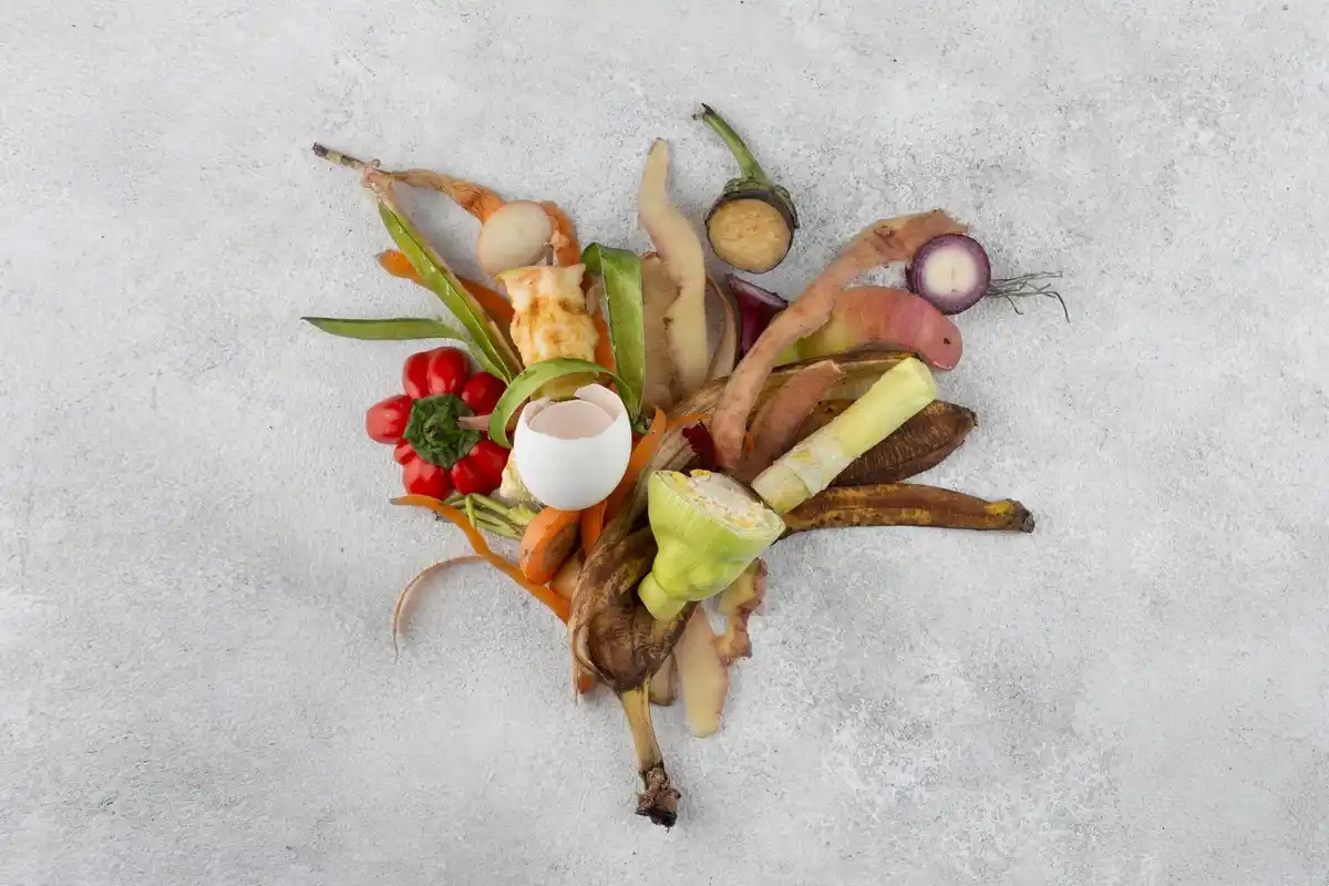 composting organic waste czech garden
