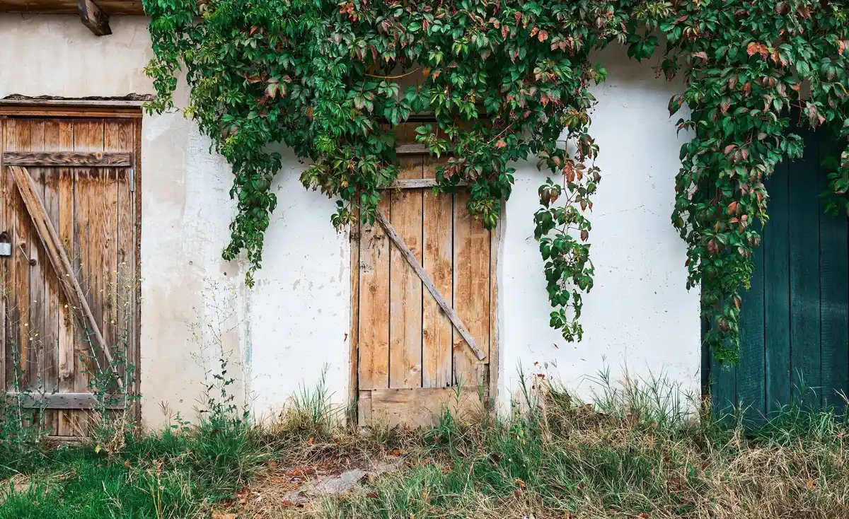 old Czech greenhouse vintage garden