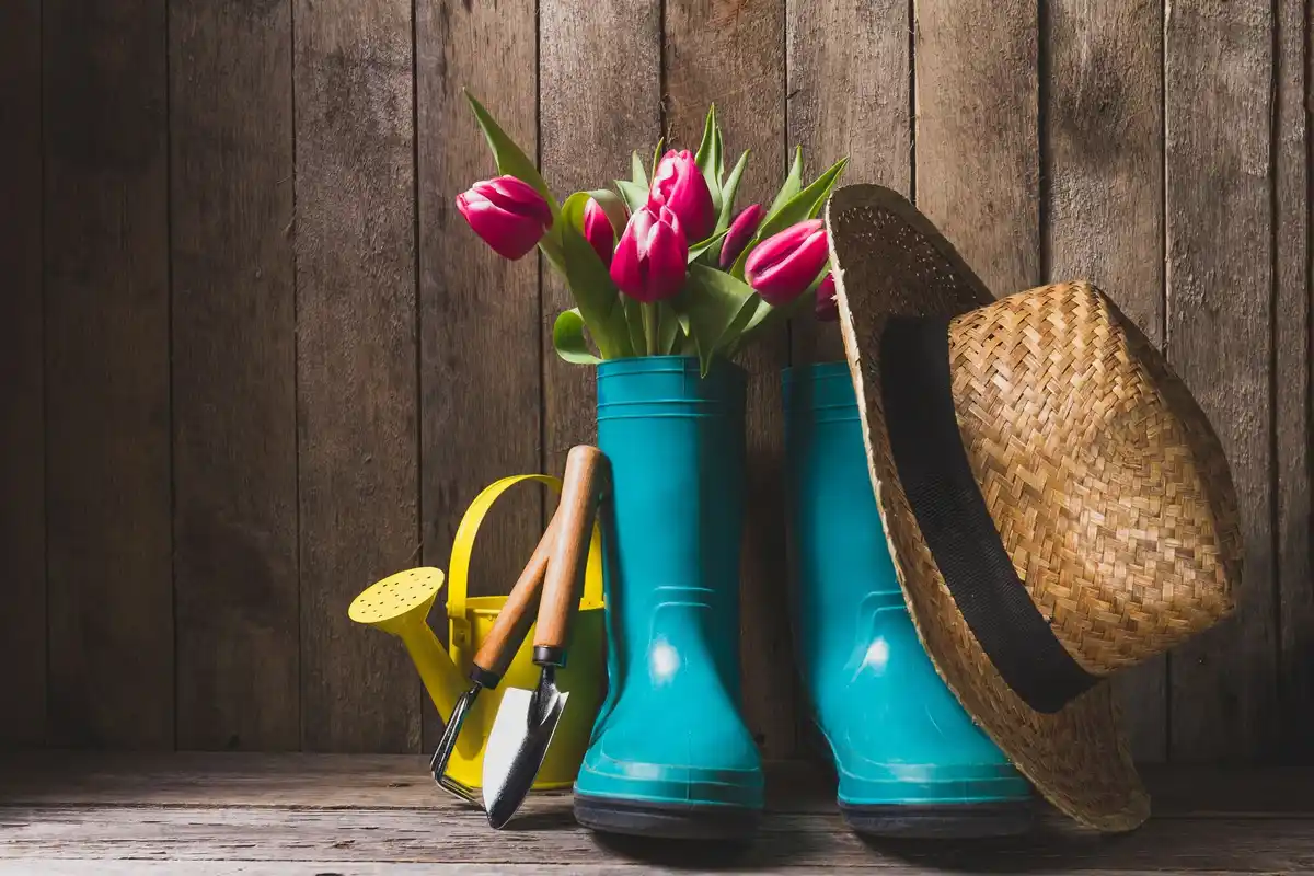 illustration czech garden tools on rustic table spring