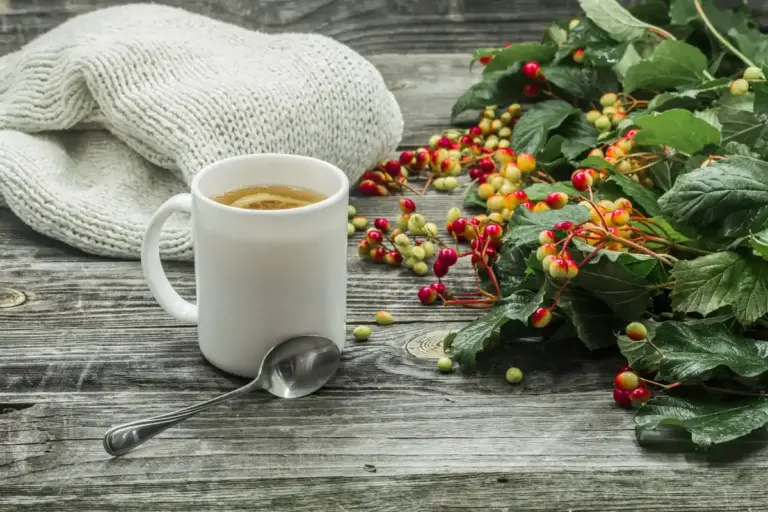 coffee grounds winter grass protection Czech lawn