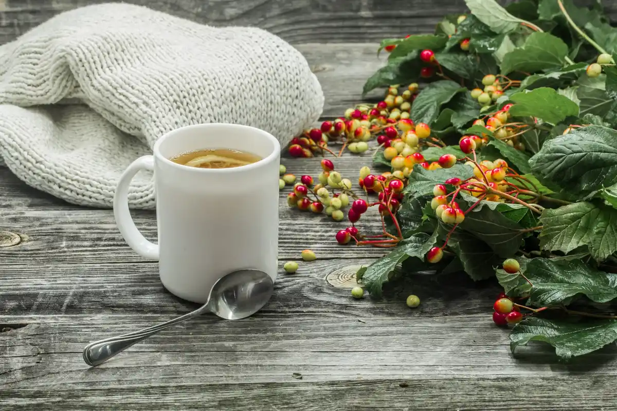 coffee grounds winter grass protection Czech lawn
