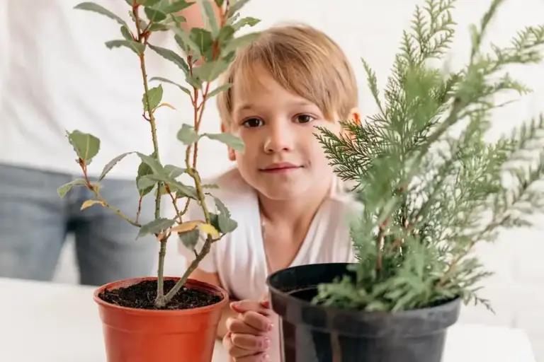 toxic houseplants children czech interior