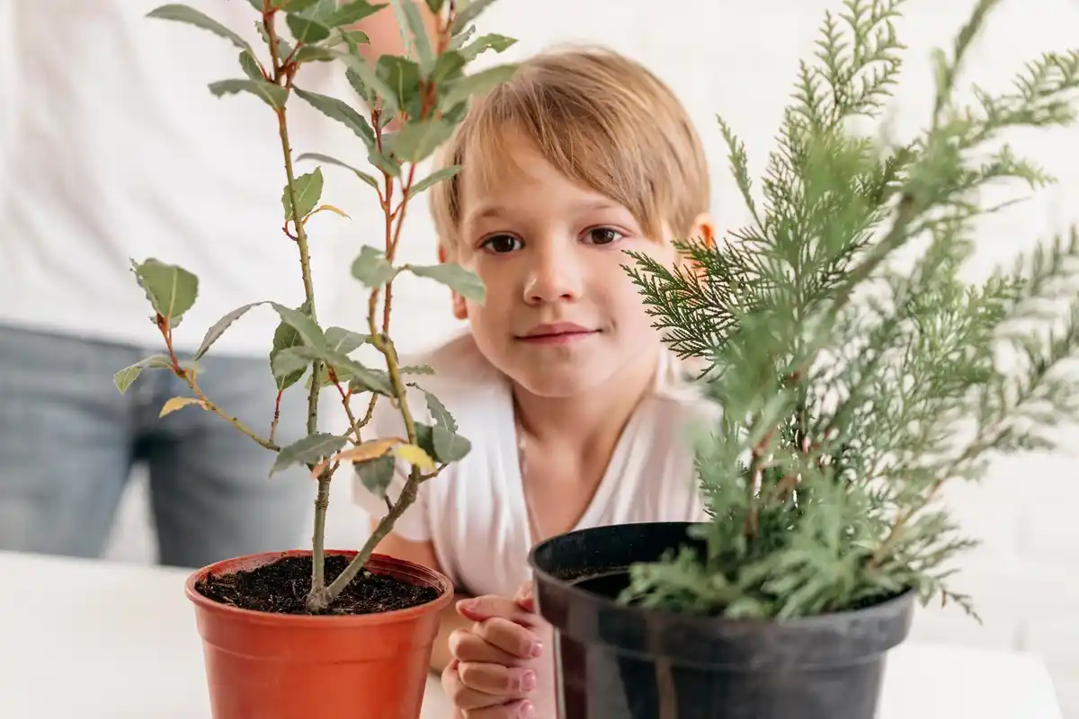 toxic houseplants children czech interior