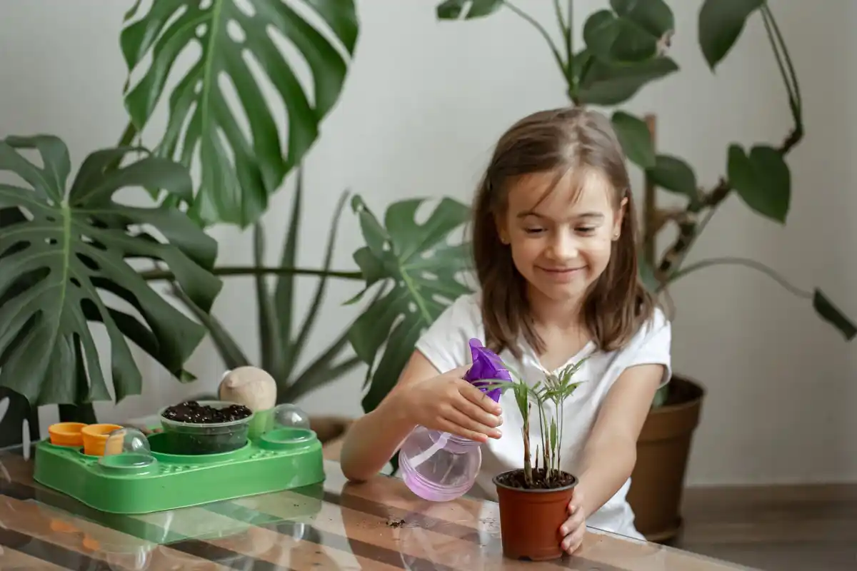 Dieffenbachia plant toxic children window