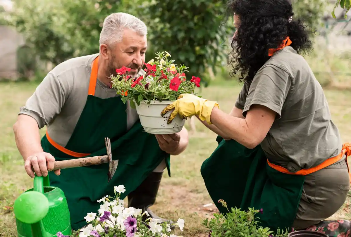 czech elderly gardener hands soil flower garden