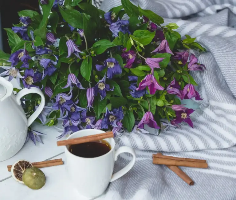 colorful edible flowers on window sill czech apartment