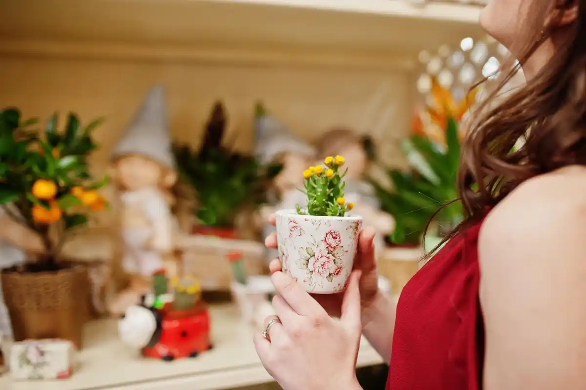 home mini edible flower garden Czech apartment