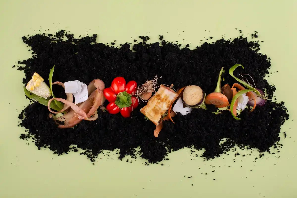 natural compost home garden czech eggshells banana peels
