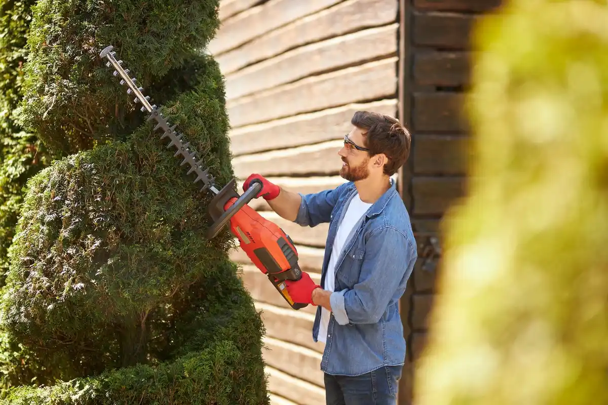 Affordable electric chainsaw Czech garden