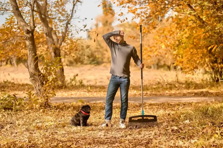 autumn lawn fertilization mistake czech garden